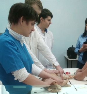 ak2 горно алтайск ветеринарная клиника телефон