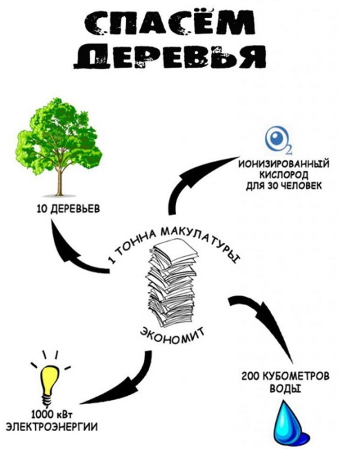 Итоги акции «Спасем деревья»