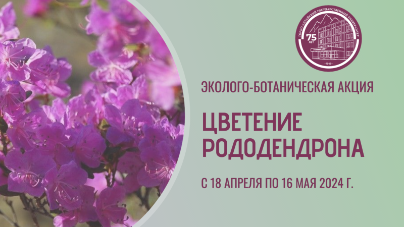 Эколого-ботаническая акция «Цветение рододендрона»