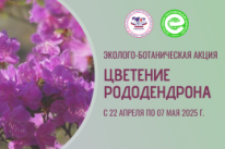 22 апреля - 07 мая