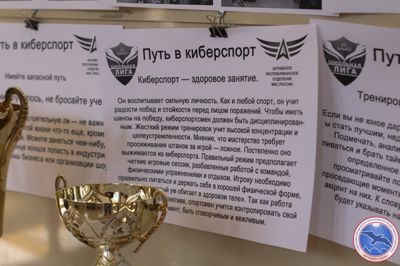 Итоги отбора в сборную Горно-Алтайского государственного университета по компьютерному спорту