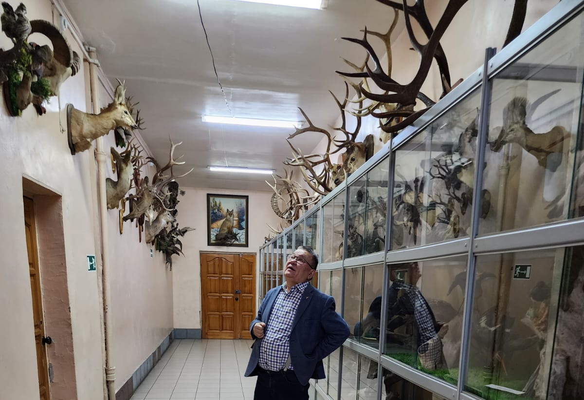 музей археологии и этнографии алтая